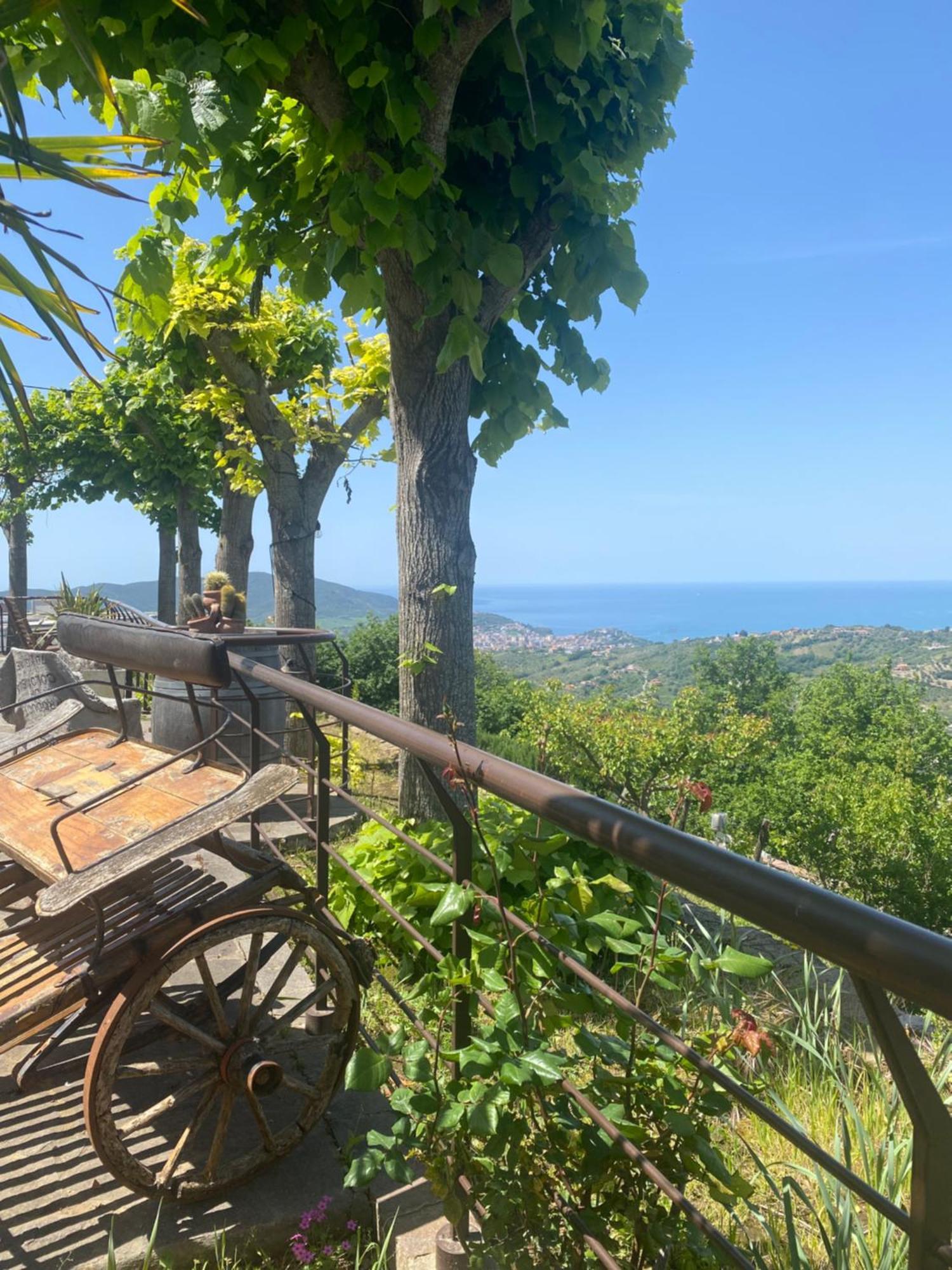 B&B Il Giardino Di Armida Ogliastro Cilento Exteriör bild