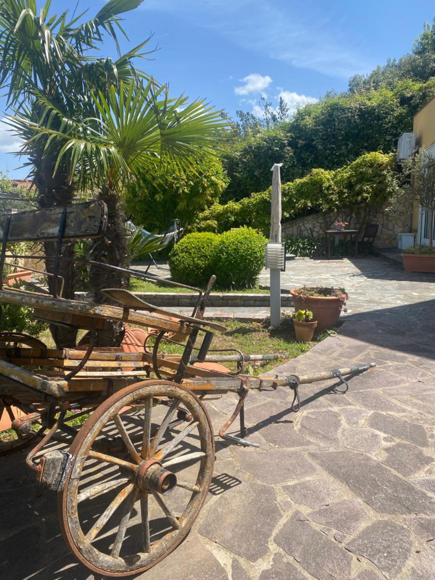 B&B Il Giardino Di Armida Ogliastro Cilento Exteriör bild