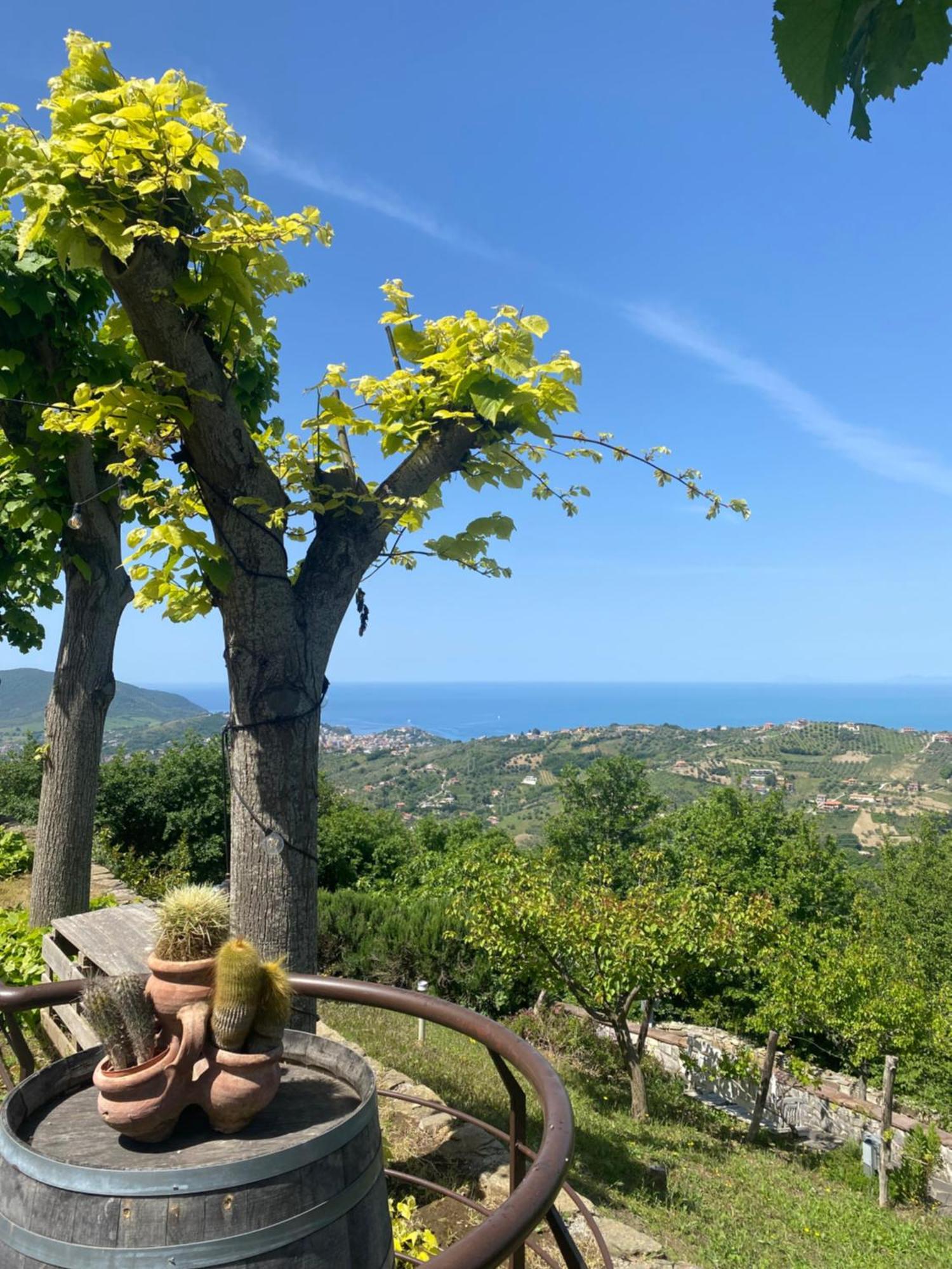 B&B Il Giardino Di Armida Ogliastro Cilento Exteriör bild